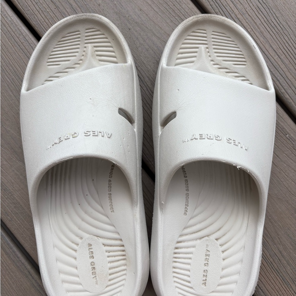 Ales Grey Recovery Slides